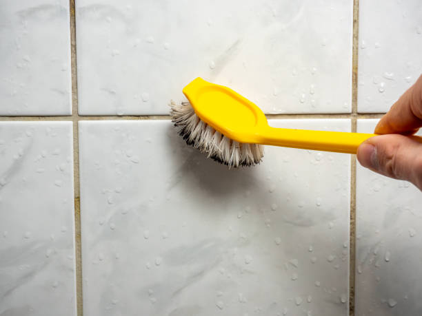 Best Localized Mold Remediation (e.g., coastal areas, humid climates) in Glen Rock, NJ
