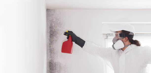 Best Industrial Mold Remediation in Glen Rock, NJ