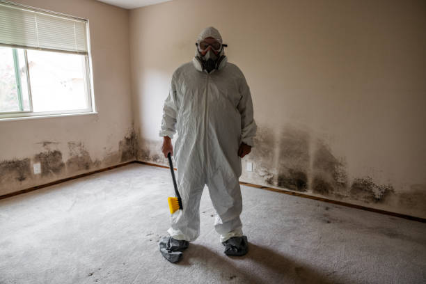 Trusted Glen Rock, NJ Mold Remediation Experts